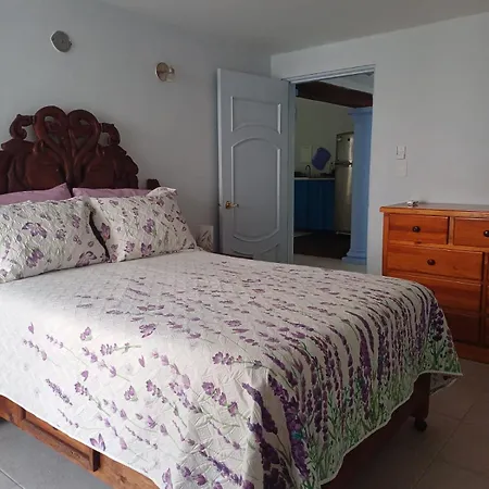 Purple Lotus Cozumel Apartamento